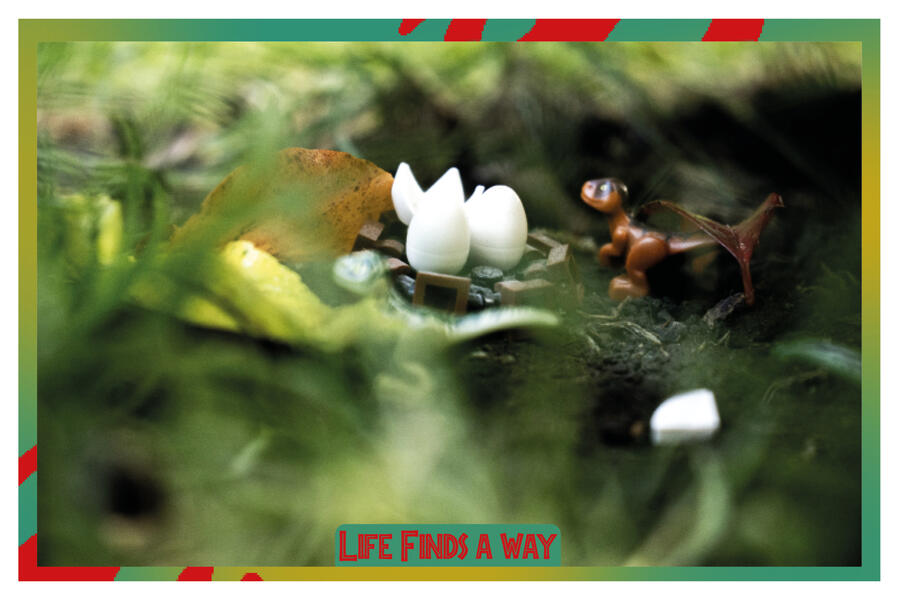 Final Postcard Three